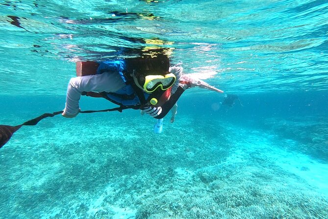 Okinawa Iriomote Snorkeling Tour at Coral Island - What You See Around Barasu Island