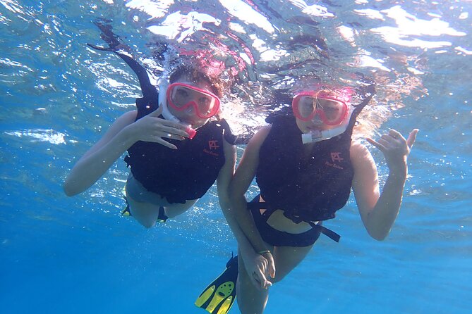 Okinawa Iriomote Snorkeling Tour at Coral Island - The Free Photos Are More Useful Than They Sound