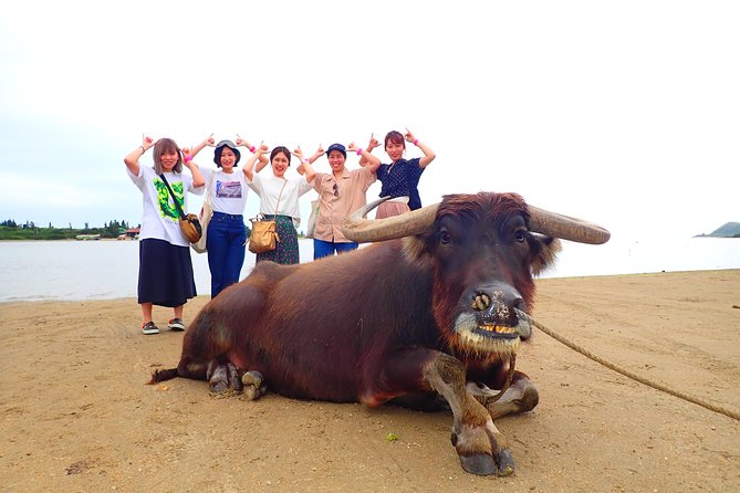 Okinawa Iriomote SUP or Canoe and Sightseeing in Yubujima Island - Practical rules that can affect your day