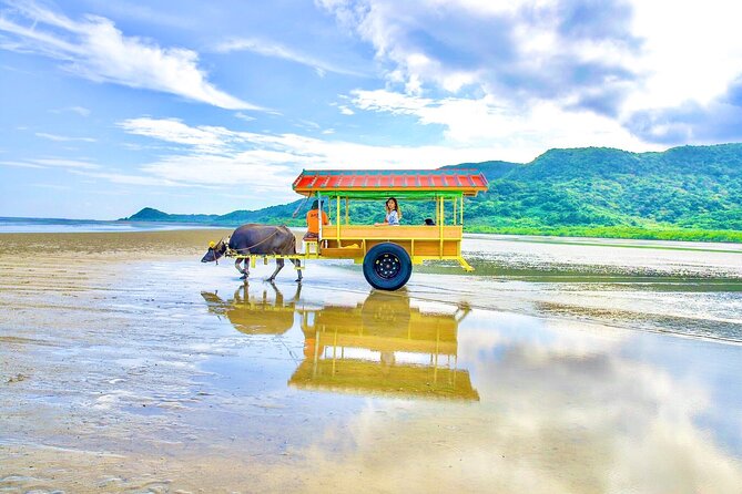 Okinawa Iriomote SUP or Canoe and Sightseeing in Yubujima Island - Paddling the sheltered mangrove rivers
