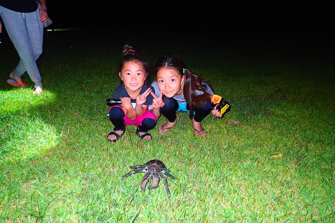 Okinawa Iriomotejima Night Adventure Tour - Why Iriomote after dark feels different