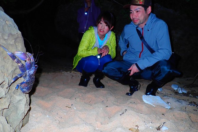 Okinawa Iriomotejima Night Adventure Tour - What the $32.37 price really buys you