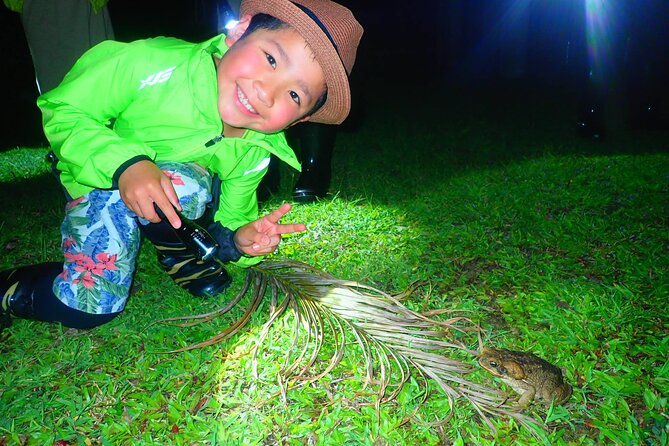 Okinawa Ishigaki Island Night Starry sky and Jungle night tour - From Ishigaki Terminal to the forest after dark