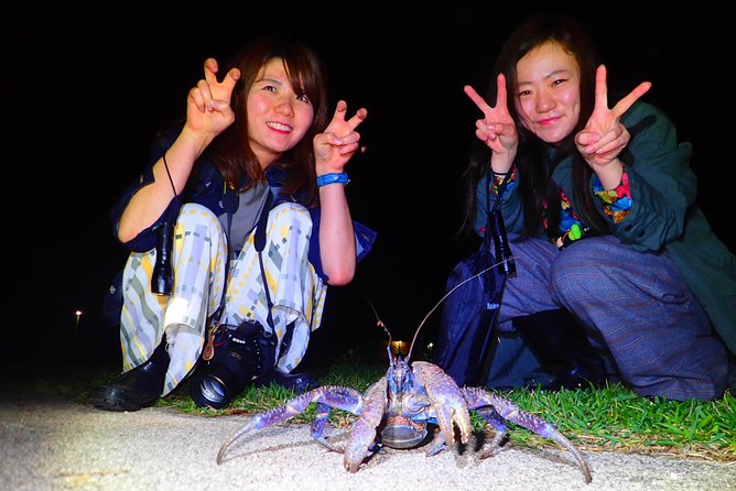 Okinawa Ishigaki Island Night Starry sky and Jungle night tour - Is $32.37 a fair price for 90 minutes?