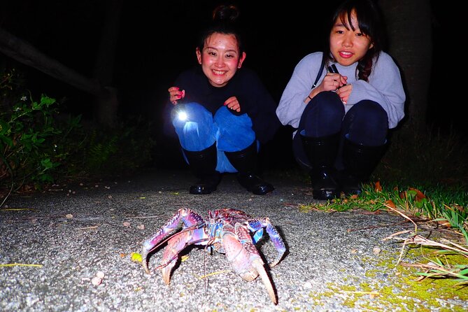 Okinawa Ishigaki Island Night Starry sky and Jungle night tour - Coconut crabs, frogs, and the lucky turtle