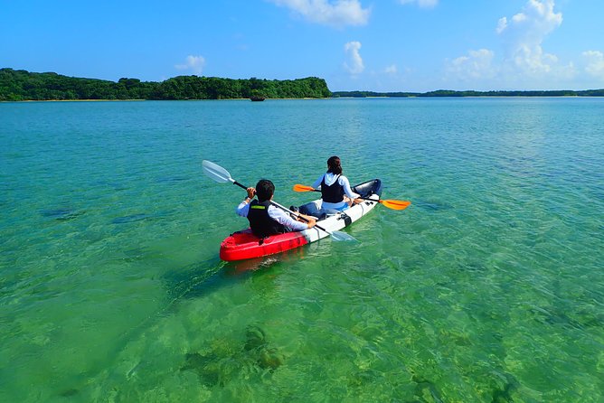 Okinawa Ishigaki Kabira Bay SUP or Canoe Tour - SUP or canoe: which one should you choose?