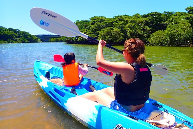 Okinawa Ishigaki Mangrove SUP or Canoe Tour - Five useful things to know before paddling