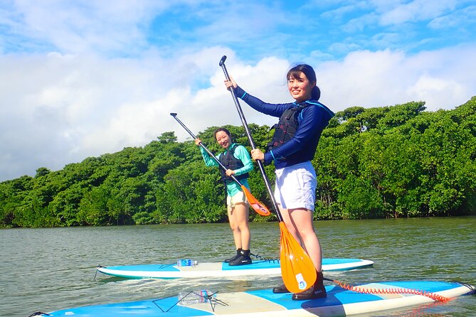 Okinawa Ishigaki Mangrove SUP or Canoe Tour - Paddling into the Miyara River Hirugi Grove
