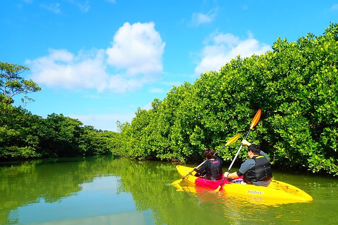 Okinawa Ishigaki Mangrove SUP or Canoe Tour - The Ishigaki setting and the return to port