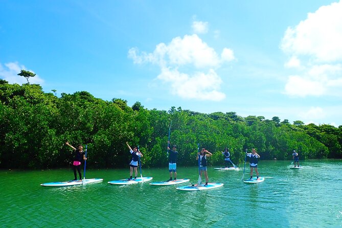 Okinawa Ishigaki Mangrove SUP or Canoe Tour - Guides, language, and the human side of the tour