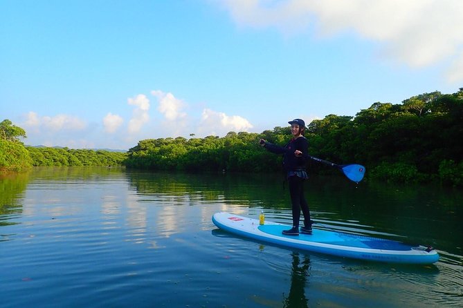 Okinawa Ishigaki Mangrove SUP or Canoe Tour - Safety, weather, and what to wear