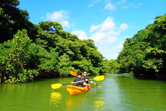Okinawa Ishigaki Mangrove SUP or Canoe Tour - Who should book this Ishigaki paddle?