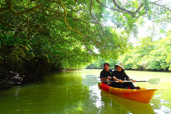 Okinawa Ishigaki Mangrove SUP or Canoe Tour - Choosing between SUP and canoe