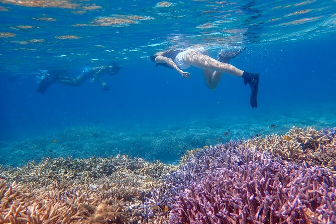 Okinawa Ishigaki Phantom Island Snorkeling Tour - Weather can rewrite the route