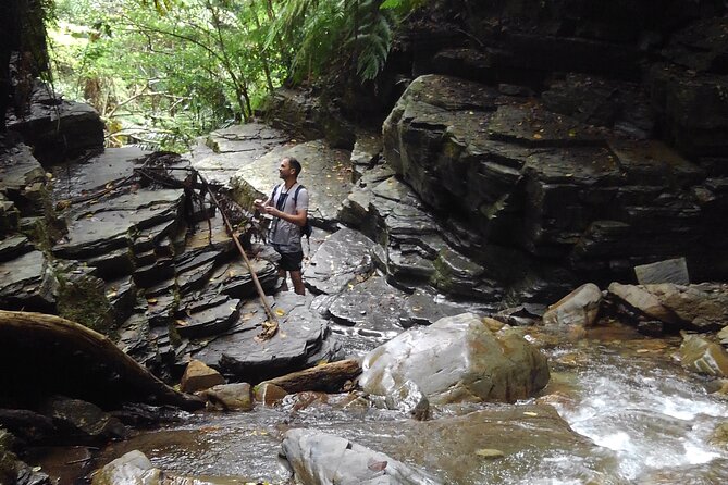 Okinawa Jungle Trails & Waterfalls – Private Yanbaru Tour - Key Things to Know Before You Go
