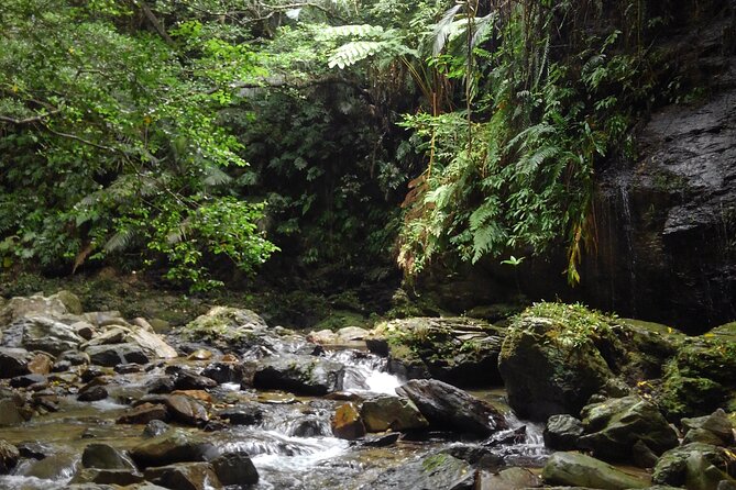 Okinawa Jungle Trails & Waterfalls – Private Yanbaru Tour - How Much Time and Effort Should You Plan For?