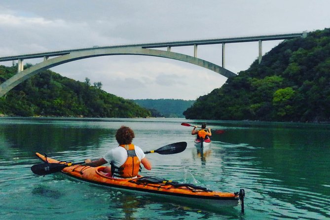 Okinawa: Kayak Mangroves & Ocean Native-English Private Tour - Key points to know before booking