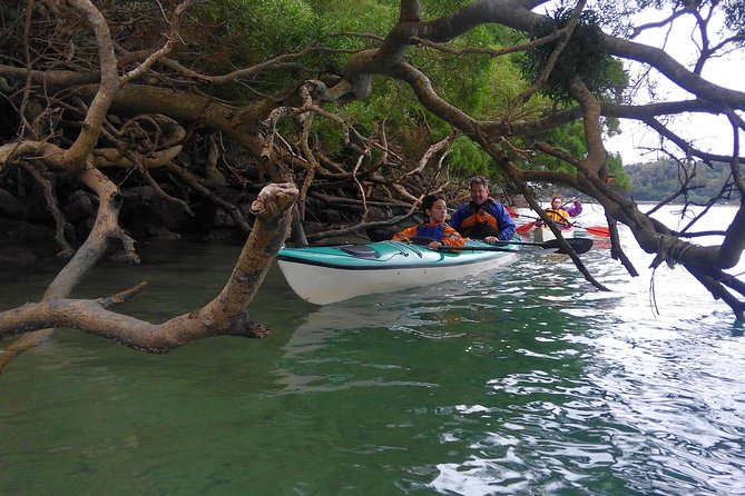 Okinawa: Kayak Mangroves & Ocean Native-English Private Tour - Kouri Bridge and a break on the coast