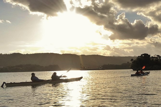 Okinawa: Kayak Mangroves & Ocean Native-English Private Tour - Warumi Bridge and Yagaji’s sea valley