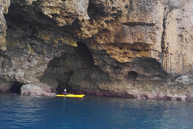 Okinawa: Kayak Mangroves & Ocean Native-English Private Tour - Nakijin’s reef and golden-sand beach