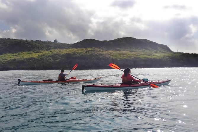 Okinawa: Kayak Mangroves & Ocean Native-English Private Tour - How private guiding changes the experience