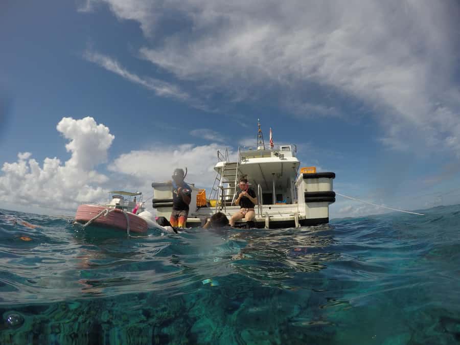 Okinawa : Kerama Whole Day Snorkeling Tour From Chatan/Naha - A beginner-friendly approach to the water