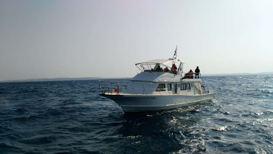 Okinawa : Kerama Whole Day Snorkeling Tour From Chatan/Naha - The optional introductory underwater session