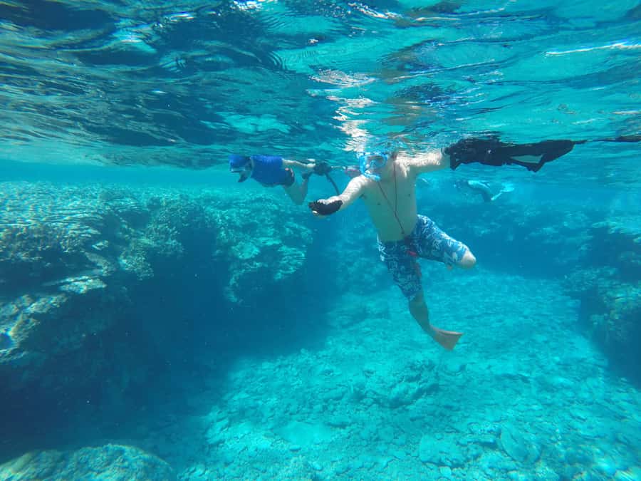 Okinawa : Kerama Whole Day Snorkeling Tour From Chatan/Naha - What the $94 price really covers
