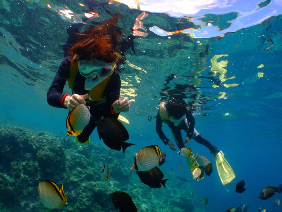 Okinawa : Kerama Whole Day Snorkeling Tour From Chatan/Naha - What happens at the two or three snorkeling points