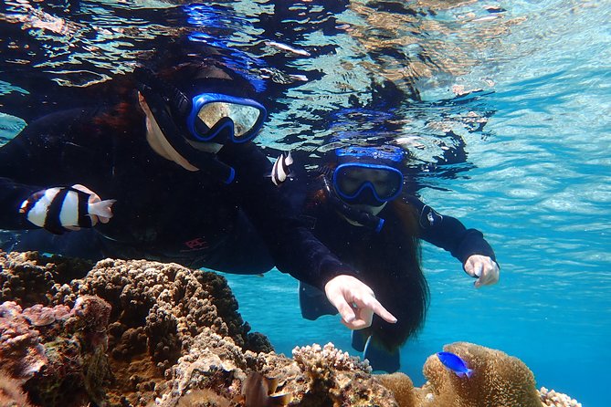 Okinawa Miyako 3set Beach SUP, Snorkeling,Pumpkin Cave,Canoeing - Canoeing to Pumpkin Cave