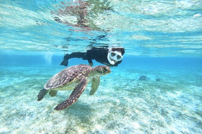 Okinawa Miyako Beach SUP or Canoe and sea turtle Snorkeling - The morning, midday, and afternoon schedules