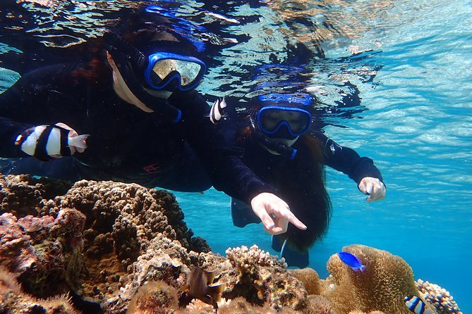 Okinawa Miyako Beach SUP or Canoe and sea turtle Snorkeling - Snorkeling for turtles, coral, and tropical fish
