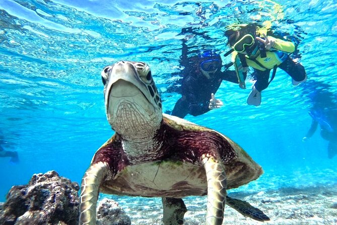 Okinawa Miyako Beach SUP or Canoe and sea turtle Snorkeling - Choosing between SUP and canoe