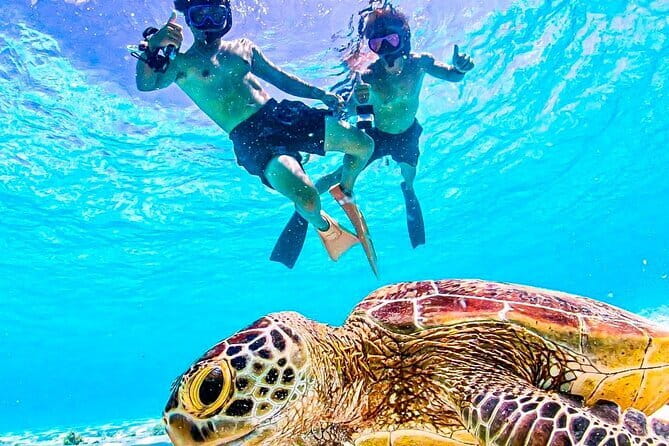 Okinawa Miyako Sea turtle Snorkeling Free Pick up and Drop off - The details that matter most