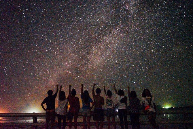 Okinawa Miyako Star Gazing & Subtropical Jungle Night Tour - Key points to know before booking