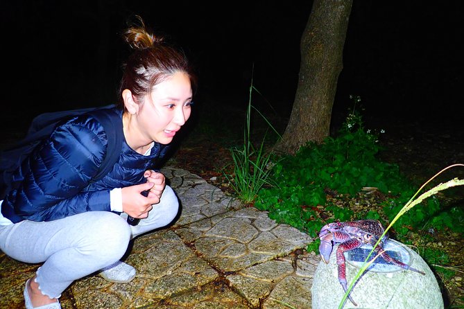 Okinawa Miyako Star Gazing & Subtropical Jungle Night Tour - Why a night walk adds something different to Miyakojima