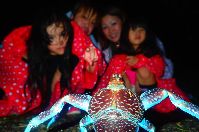 Okinawa Miyako Star Gazing & Subtropical Jungle Night Tour - The first fifteen minutes: orientation before the jungle