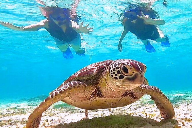 Okinawa Miyakojima 1 day Sea Turtle Snorkeling & Pumpkin Cave & Sea Kayak - Guide quality and language support