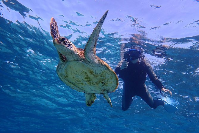 Okinawa Miyakojima 1 day Sea Turtle Snorkeling & Pumpkin Cave & Sea Kayak - Who will enjoy this six-hour outing