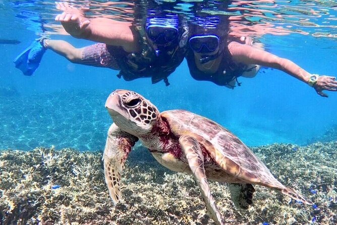 Okinawa Miyakojima 1 day Sea Turtle Snorkeling & Pumpkin Cave & Sea Kayak - The lunch break is useful, but it changes the pace