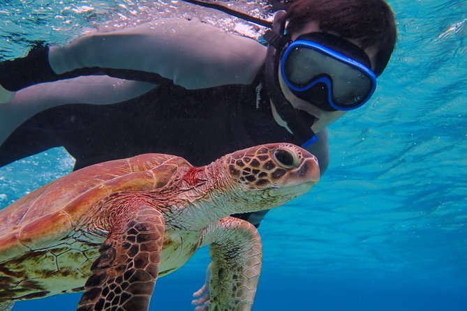 Okinawa Miyakojima Half Day SUPor Canoe & Sea Turtle Snorkeling (Half Day Set) - What happens from 8:30 in the morning