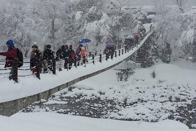 [One-day bus tour departing from Kanazawa Station] Shirakawa-go/Takayama tour platinum route bus tour - Key points before you book