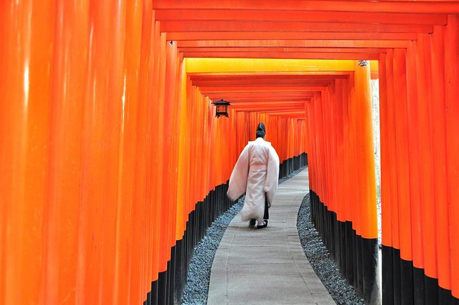 One-Day Tour of Kyoto's Highlights from Osaka/Kyoto - Why this Kyoto day trip works