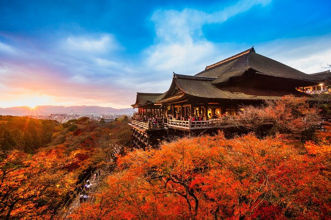 One-Day Tour of Kyoto's Highlights from Osaka/Kyoto - Lunch: useful convenience, limited flexibility