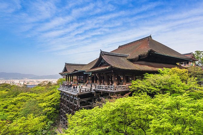 One-Day Tour of Kyoto's Highlights from Osaka/Kyoto - The guide makes a real difference