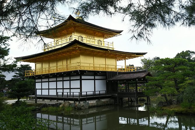 One-Day Walking Tour : Enjoy Kyoto to the fullest! - Arashiyama Bamboo Grove before the crowds