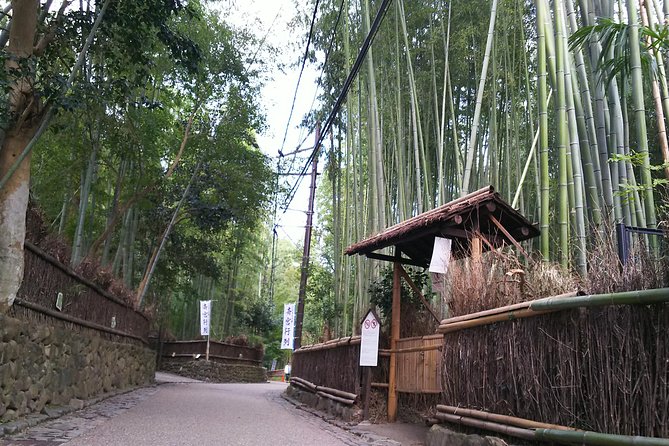 One-Day Walking Tour : Enjoy Kyoto to the fullest! - Gion, geisha culture, and respectful sightseeing