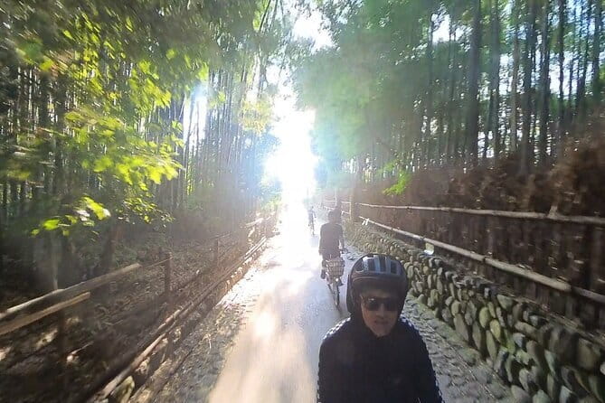 ONLY YOU in the Bamboo Forest! 4 hours E-bike tour with a local - Tenryu-ji: the main temple stop