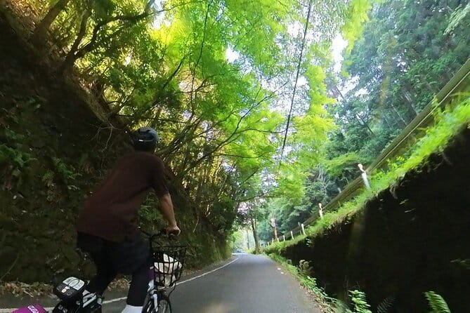 ONLY YOU in the Bamboo Forest! 4 hours E-bike tour with a local - Entering the Bamboo Forest early