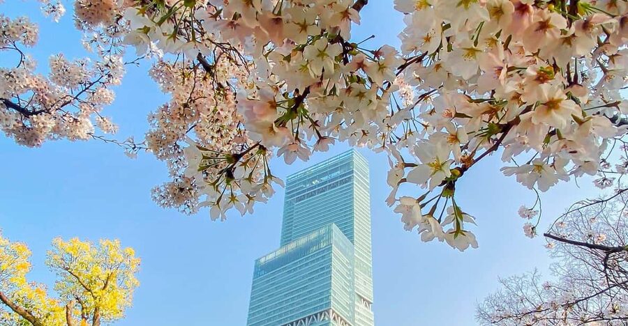 Osaka: Abeno Harukas 300 Observatory E-Ticket - Who should visit Abeno Harukas 300?